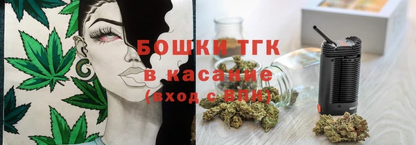 стаф Ладушкин