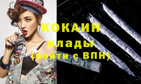 крисы Армянск