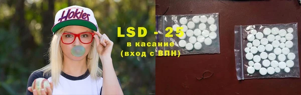 стаф Ладушкин