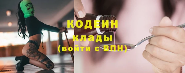 крисы Армянск